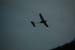 file0066